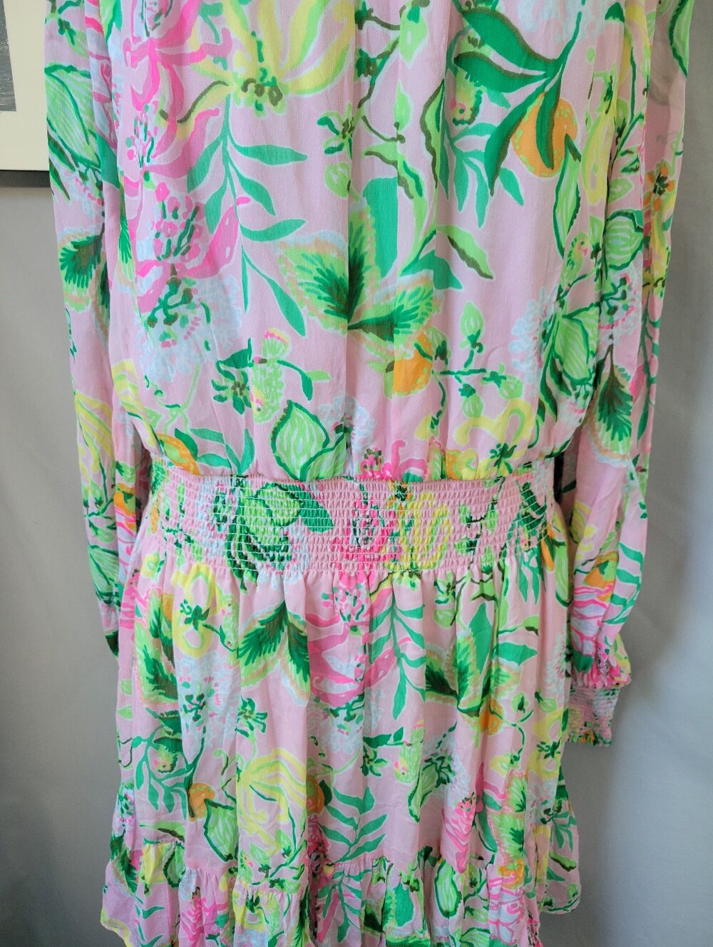 Lilly Pulitzer EllieLynn Long Sleeve Mini Dress Via Amore Spritzer 12 or 14 - Picture 9 of 14